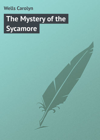 Обложка книги «The Mystery of the Sycamore»