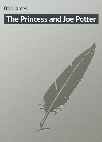 Обложка книги «The Princess and Joe Potter»