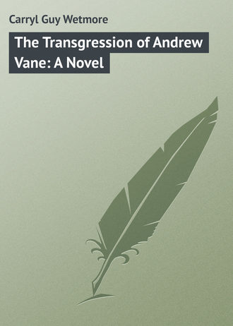 Обложка книги «The Transgression of Andrew Vane: A Novel»