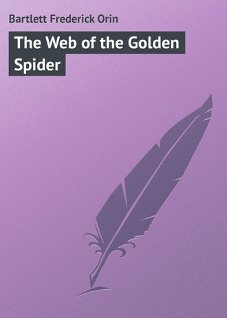 Обложка книги «The Web of the Golden Spider»