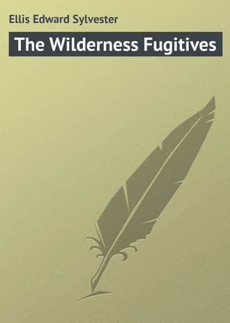 Обложка книги «The Wilderness Fugitives»