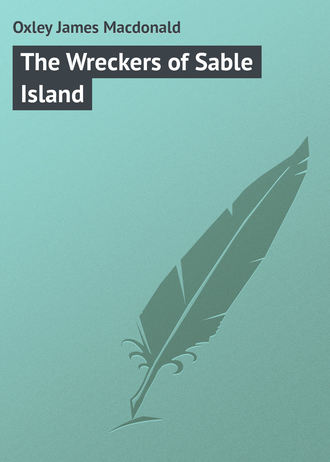 Обложка книги «The Wreckers of Sable Island»
