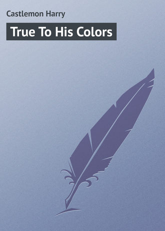 Обложка книги «True To His Colors»