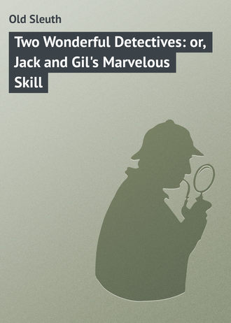 Обложка книги «Two Wonderful Detectives: or, Jack and Gil's Marvelous Skill»
