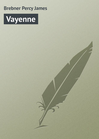 Обложка книги «Vayenne»