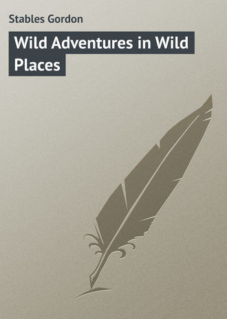 Обложка книги «Wild Adventures in Wild Places»