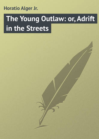 Обложка книги «The Young Outlaw: or, Adrift in the Streets»