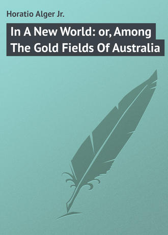 Обложка книги «In A New World: or, Among The Gold Fields Of Australia»