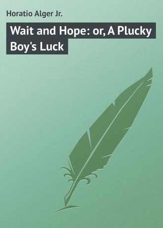 Обложка книги «Wait and Hope: or, A Plucky Boy's Luck»