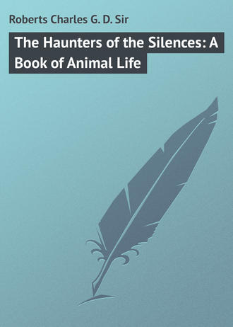 Обложка книги «The Haunters of the Silences: A Book of Animal Life»