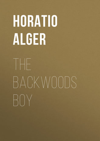 Обложка книги «The Backwoods Boy»