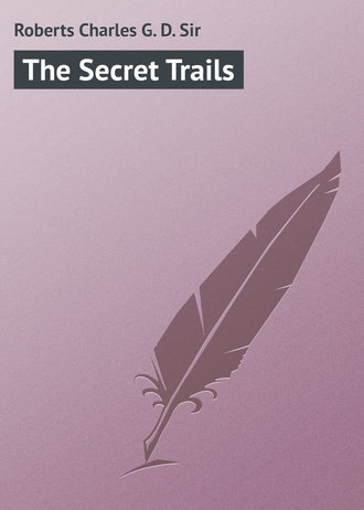 Обложка книги «The Secret Trails»