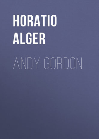 Обложка книги «Andy Gordon»