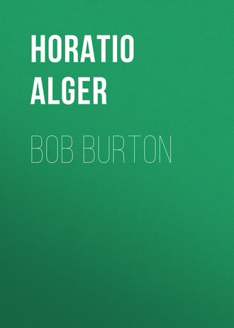 Обложка книги «Bob Burton»