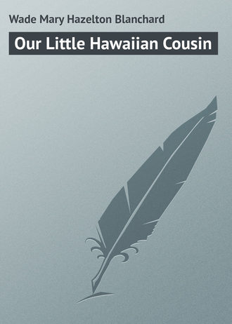 Обложка книги «Our Little Hawaiian Cousin»