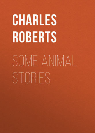 Обложка книги «Some Animal Stories»