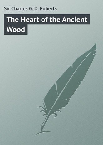 Обложка книги «The Heart of the Ancient Wood»