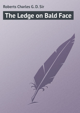 Обложка книги «The Ledge on Bald Face»
