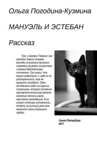 Обложка книги «Мануэль и Эстебан»