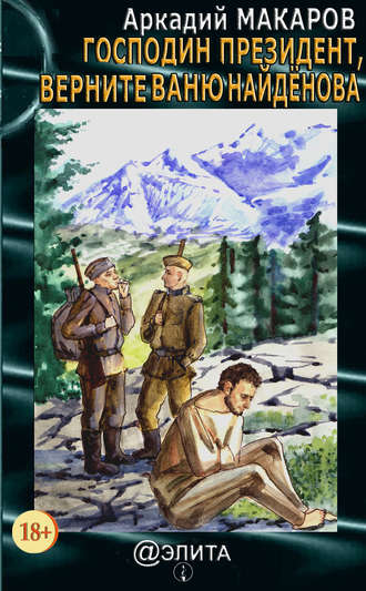 Обложка книги «Господин Президент, верните Ваню Найдёнова»