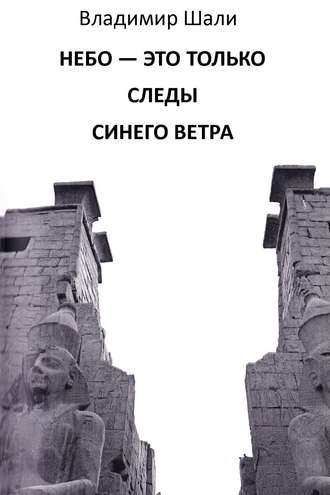 Владимир Шали. Небо – это только следы синего ветра