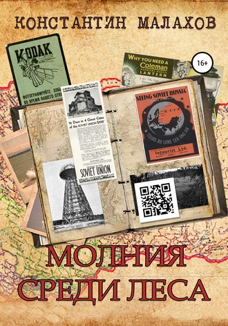 Обложка книги «Молния среди леса»