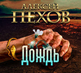 Обложка книги «Дождь»
