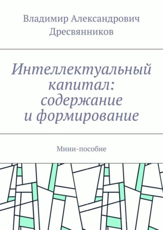 Владимир Александрович Дресвянников. Интеллектуальный капитал: содержание и формирование. Мини-пособие