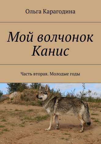 Ольга Карагодина. Мой волчонок Канис. Часть вторая. Молодые годы