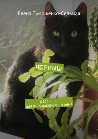 Обложка книги «Черныш. Рассказы для внеклассного чтения»