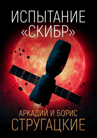 Обложка книги «Испытание «СКИБР»»