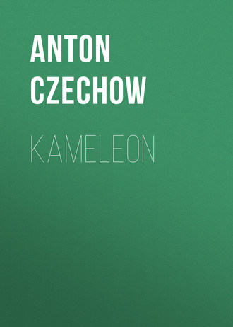 Обложка книги «Kameleon»