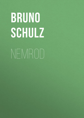 Обложка книги «Nemrod»
