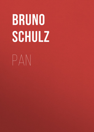Обложка книги «Pan»