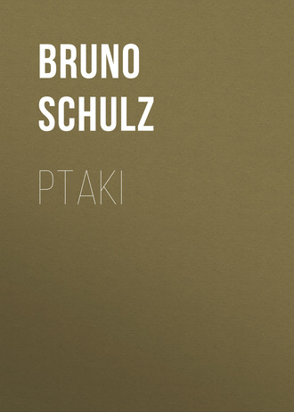 Bruno  Schulz. Ptaki