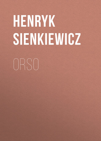 Обложка книги «Orso»