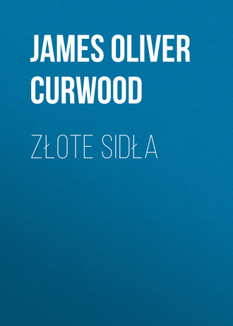 Обложка книги «Złote sidła»