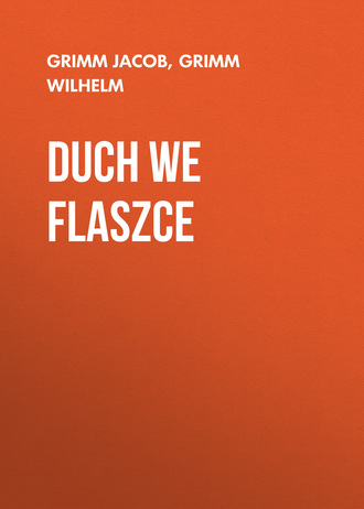Обложка книги «Duch we flaszce»