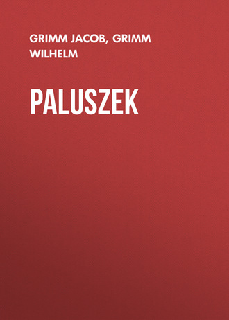 Обложка книги «Paluszek»
