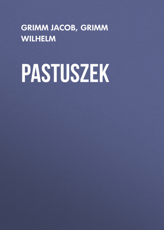 Обложка книги «Pastuszek»