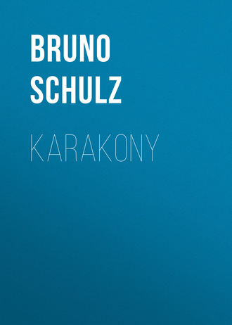 Обложка книги «Karakony»