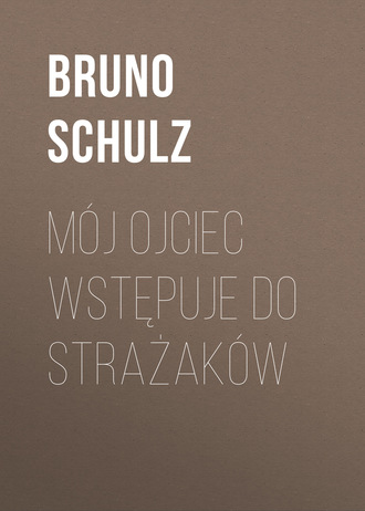Обложка книги «Mój ojciec wstępuje do strażaków»