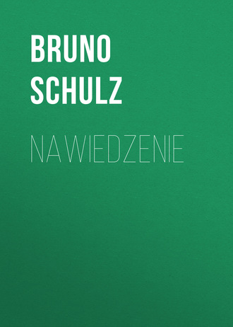 Обложка книги «Nawiedzenie»