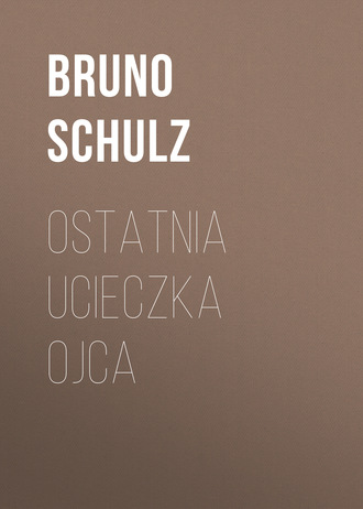 Обложка книги «Ostatnia ucieczka ojca»