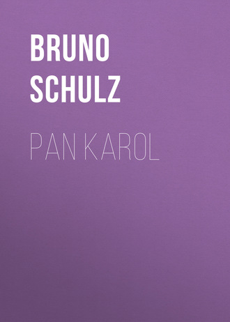 Обложка книги «Pan Karol»