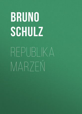 Обложка книги «Republika marzeń»