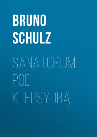 Обложка книги «Sanatorium Pod Klepsydrą»
