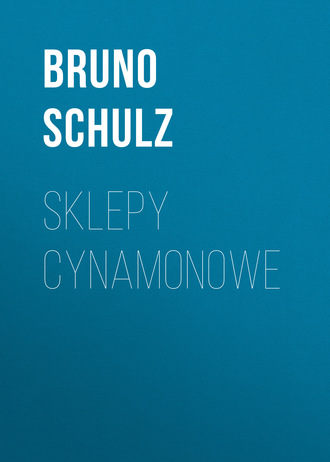 Обложка книги «Sklepy cynamonowe»