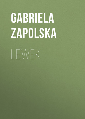 Обложка книги «Lewek»