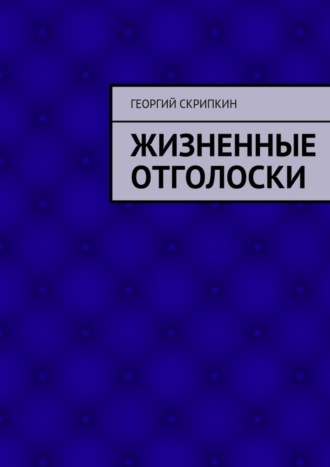 Георгий Скрипкин. Жизненные отголоски